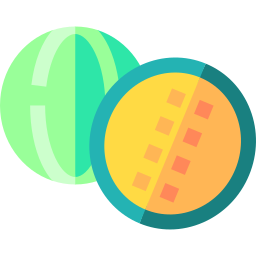 cantaloup-melone icon