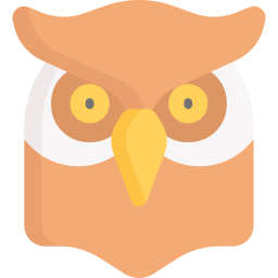 Owl icon