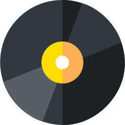 Vynil icon