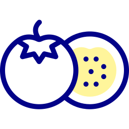 Tomato icon