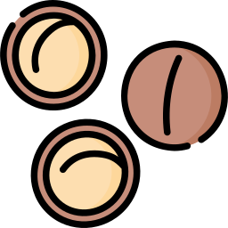 macadamia icona