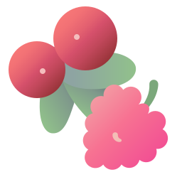 cranberry icon