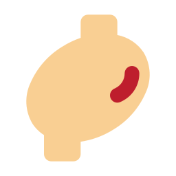 stomaco icona
