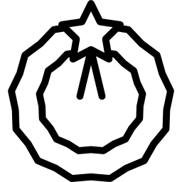 weihnachtskrone icon