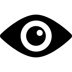 Eye close up icon