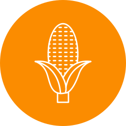 Corn icon