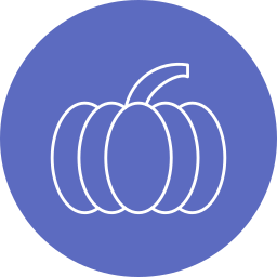 Pumpkin icon