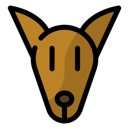 Kangaroo icon