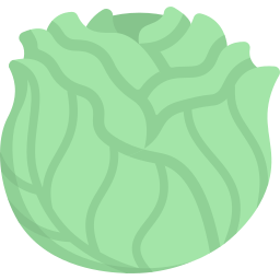 Cabbage icon