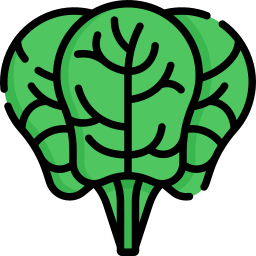 Spinach icon