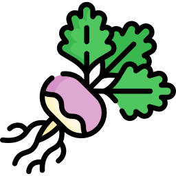 Turnip ikon
