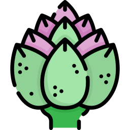 Artichoke icon