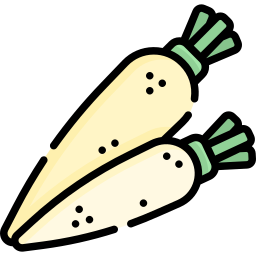 daikon Ícone