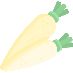 daikon icono