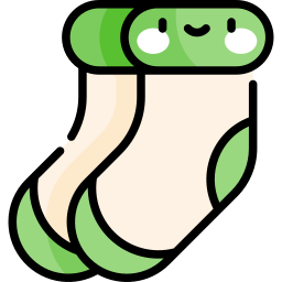 Socks icon