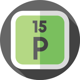 phosphor icon