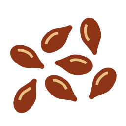 semilla de lino icono