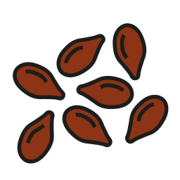 semilla de lino icono
