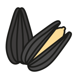 Sunflower seed icon