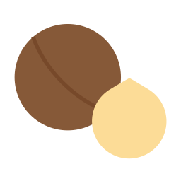 nuez de macadamia icono