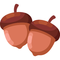 Acorn icon