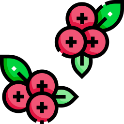 cranberry icon