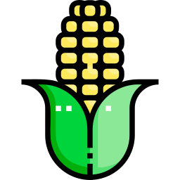 Corn icon