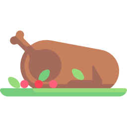 Turkey icon