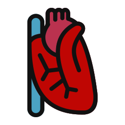 Heart icon