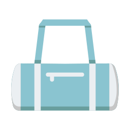 Gym bag icon