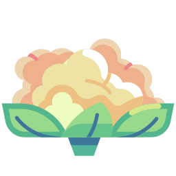 Cauliflower icon