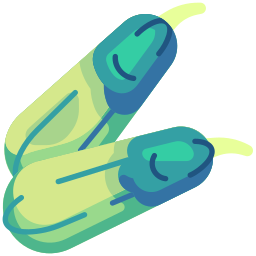 Zucchini icon