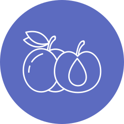 Damson icon