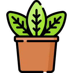 plant icoon