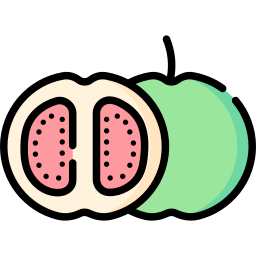 Guava icon