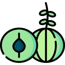 구스베리 icon
