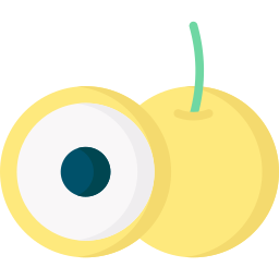 Longan icon