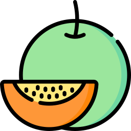 Melon icon