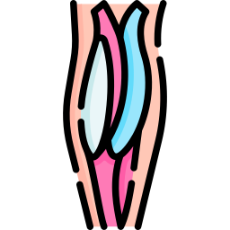 cruroplastia Ícone