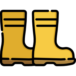 Boots icon