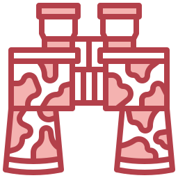 Binoculars icon