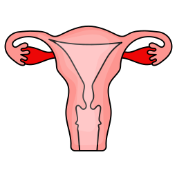 vagina icona