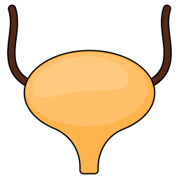 urine icoon