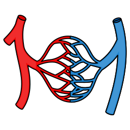 静脈 icon
