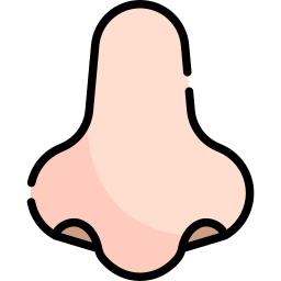 Nose icon