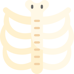 Ribs icon