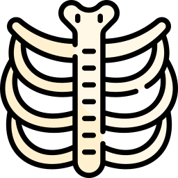 Ribs icon