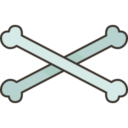 Crossbones icon