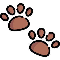 Pawprints icon