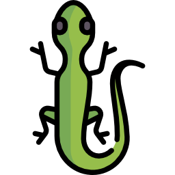 Lizard icon